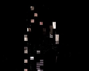 Haponesa 0207 - = fd1965 = -0355